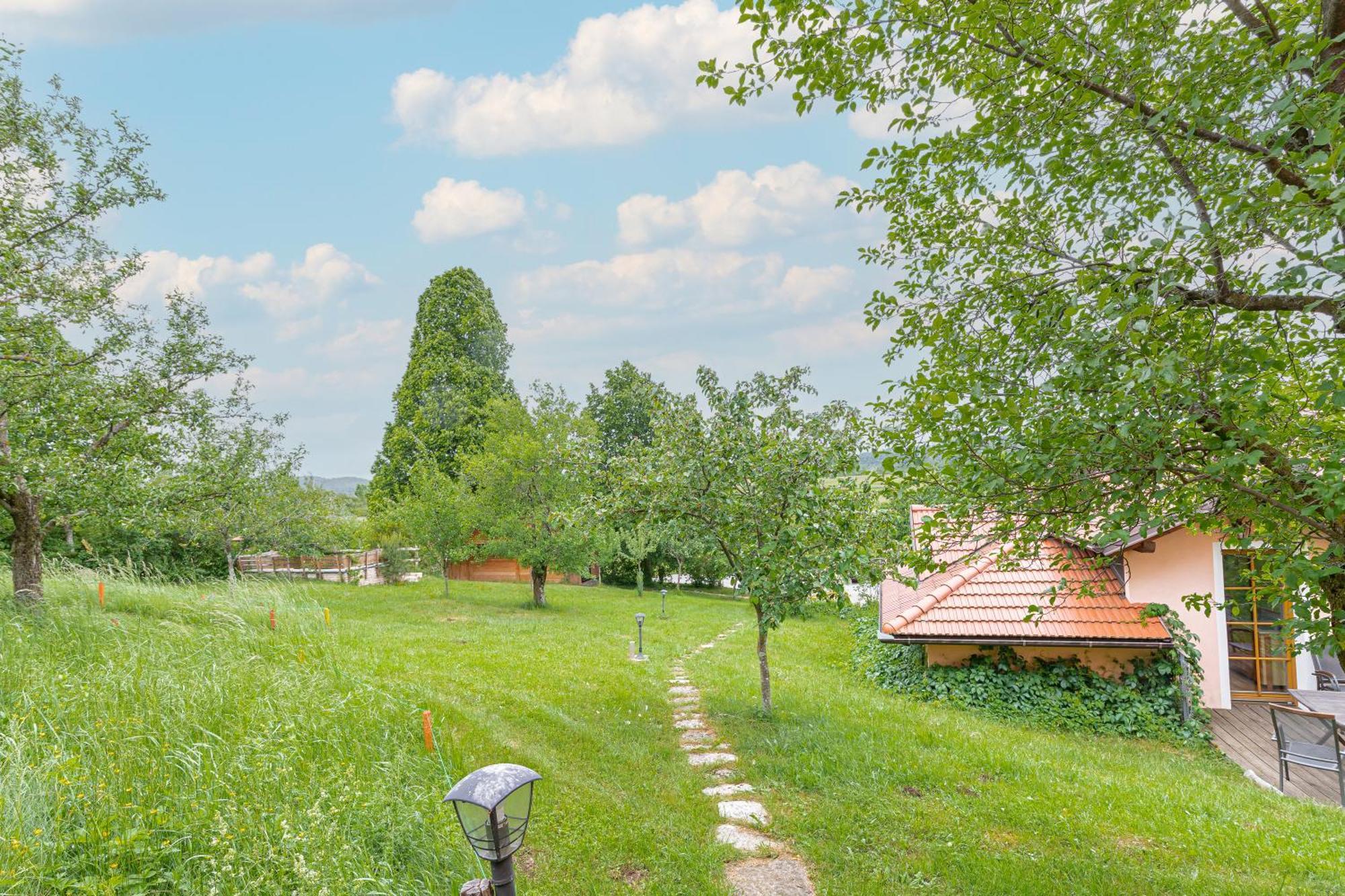 House Na Meji With Sauna - Happy Rentals Pivka Buitenkant foto