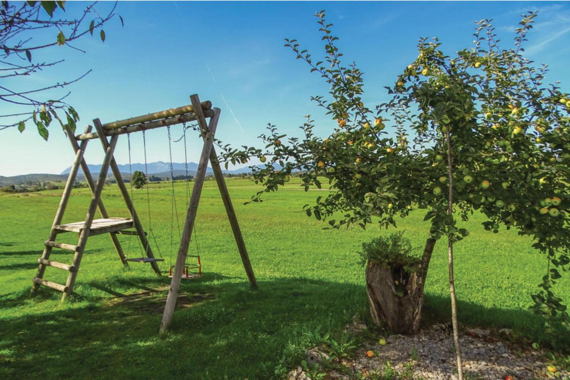 House Na Meji With Sauna - Happy Rentals Pivka Buitenkant foto